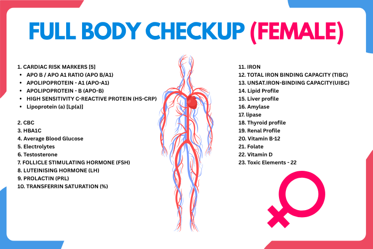 FULL BODY CHECKUP (FEMALE PACKAGE)