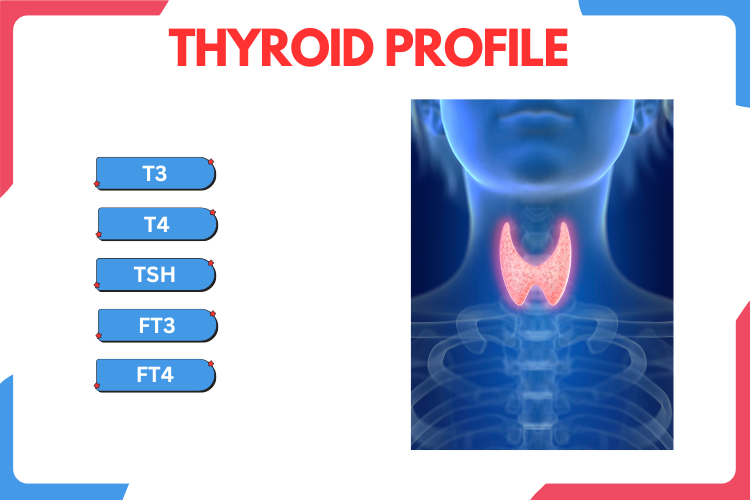 Thyroid Profile-Total (T3, T4 , FT3, FT4 & TSH Ultra-sensitive)
